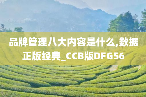 品牌管理八大内容是什么,数据正版经典_CCB版DFG56