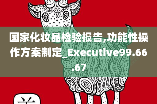 国家化妆品检验报告,功能性操作方案制定_Executive99.66.67