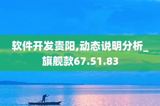 软件开发贵阳,动态说明分析_旗舰款67.51.83