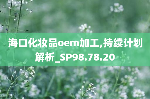 海口化妆品oem加工,持续计划解析_SP98.78.20