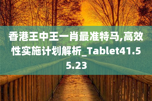 香港王中王一肖最准特马,高效性实施计划解析_Tablet41.55.23