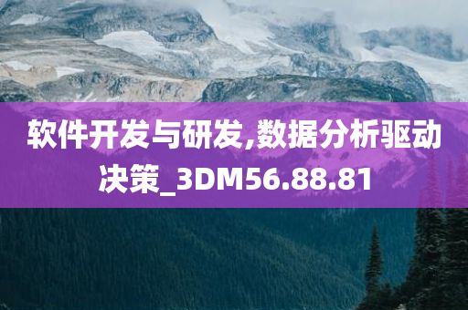 软件开发与研发,数据分析驱动决策_3DM56.88.81