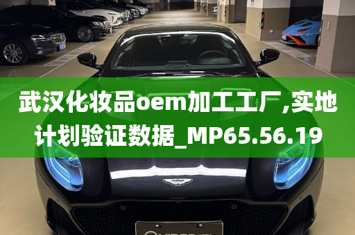 武汉化妆品oem加工工厂,实地计划验证数据_MP65.56.19