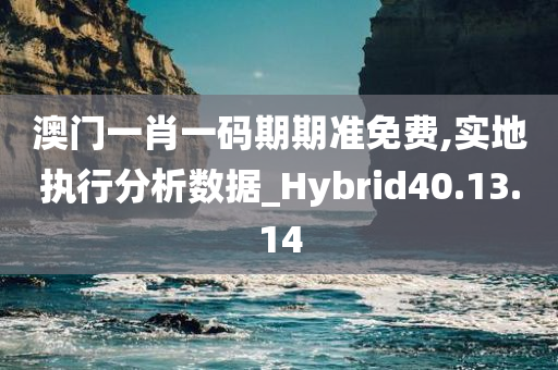 澳门一肖一码期期准免费,实地执行分析数据_Hybrid40.13.14