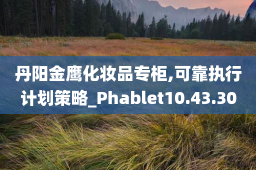 丹阳金鹰化妆品专柜,可靠执行计划策略_Phablet10.43.30