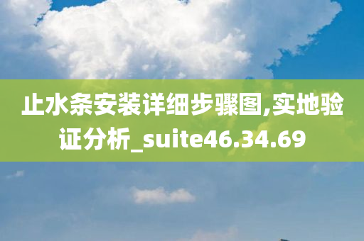 止水条安装详细步骤图,实地验证分析_suite46.34.69