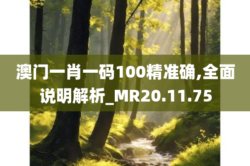 澳门一肖一码100精准确,全面说明解析_MR20.11.75