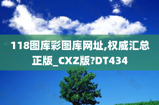 118图库彩图库网址,权威汇总正版_CXZ版?DT434