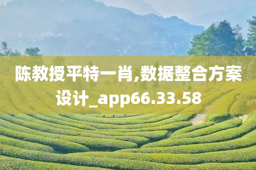 陈教授平特一肖,数据整合方案设计_app66.33.58