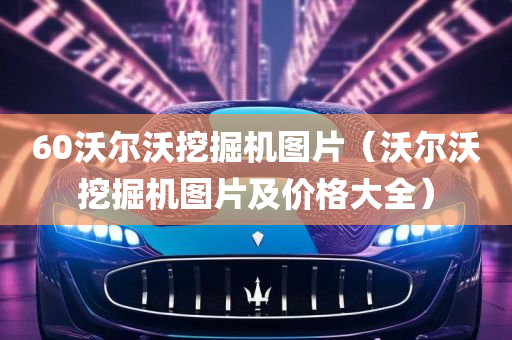 60沃尔沃挖掘机图片（沃尔沃挖掘机图片及价格大全）