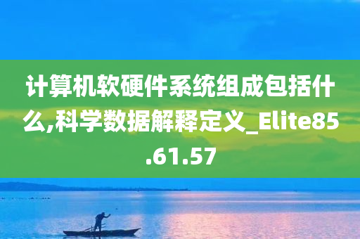 计算机软硬件系统组成包括什么,科学数据解释定义_Elite85.61.57