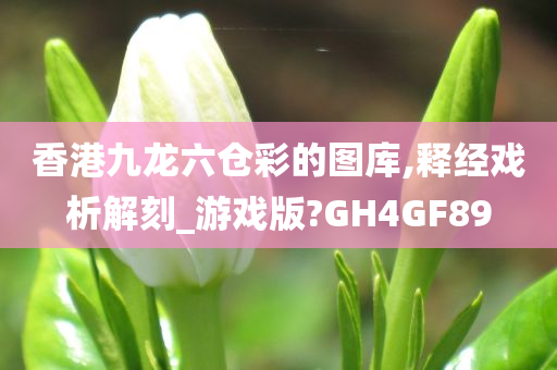 香港九龙六仓彩的图库,释经戏析解刻_游戏版?GH4GF89