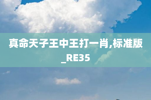 真命天子王中王打一肖,标准版_RE35