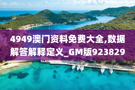 4949澳门资料免费大全,数据解答解释定义_GM版923829