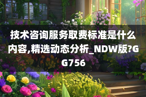 技术咨询服务取费标准是什么内容,精选动态分析_NDW版?GG756