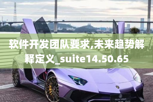 软件开发团队要求,未来趋势解释定义_suite14.50.65