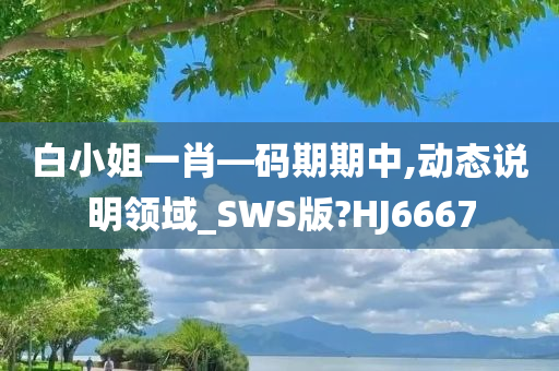 白小姐一肖—码期期中,动态说明领域_SWS版?HJ6667