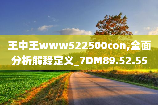 王中王www522500con,全面分析解释定义_7DM89.52.55