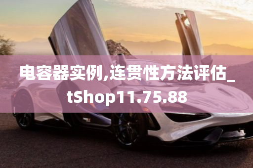 电容器实例,连贯性方法评估_tShop11.75.88