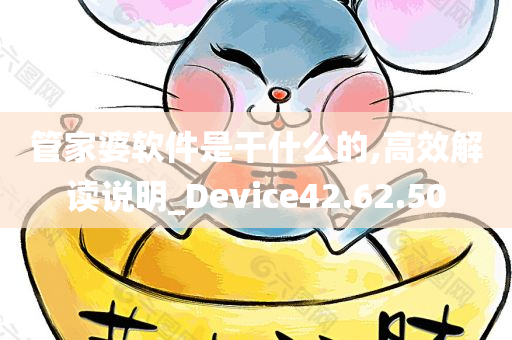 管家婆软件是干什么的,高效解读说明_Device42.62.50