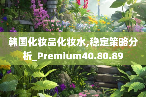 韩国化妆品化妆水,稳定策略分析_Premium40.80.89