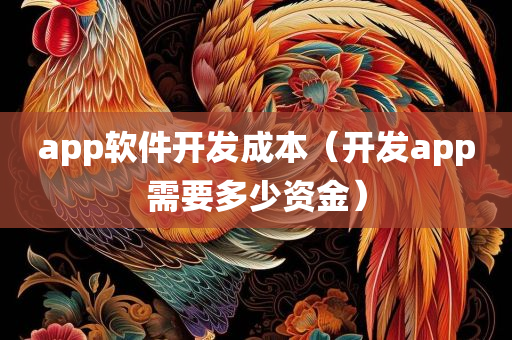 app软件开发成本（开发app需要多少资金）