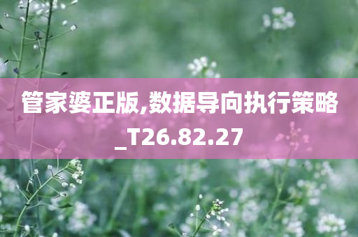 管家婆正版,数据导向执行策略_T26.82.27