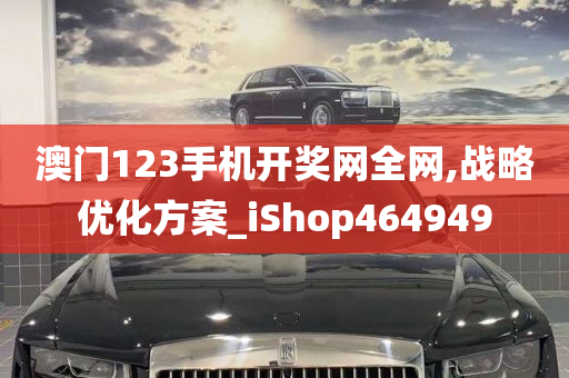 澳门123手机开奖网全网,战略优化方案_iShop464949