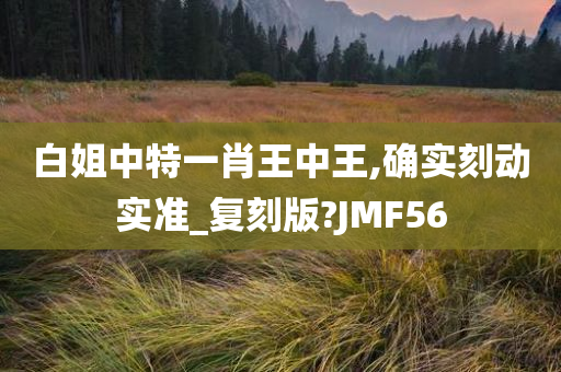 白姐中特一肖王中王,确实刻动实准_复刻版?JMF56