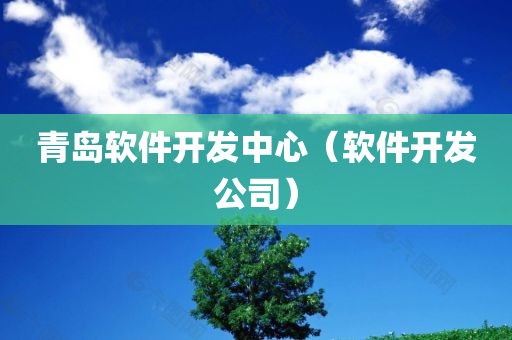 青岛软件开发中心（软件开发公司）