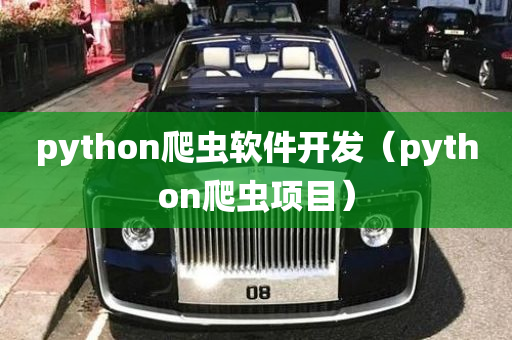 python爬虫软件开发（python爬虫项目）