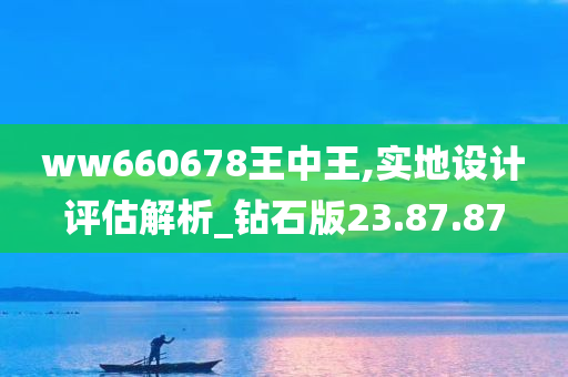 ww660678王中王,实地设计评估解析_钻石版23.87.87