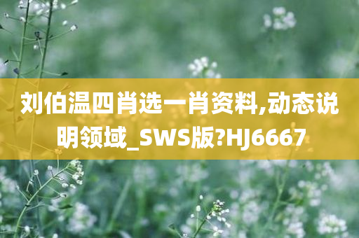 刘伯温四肖选一肖资料,动态说明领域_SWS版?HJ6667