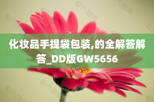 化妆品手提袋包装,的全解答解答_DD版GW5656