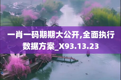 一肖一码期期大公开,全面执行数据方案_X93.13.23