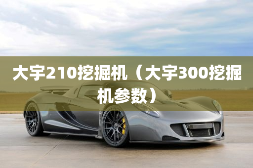 大宇210挖掘机（大宇300挖掘机参数）