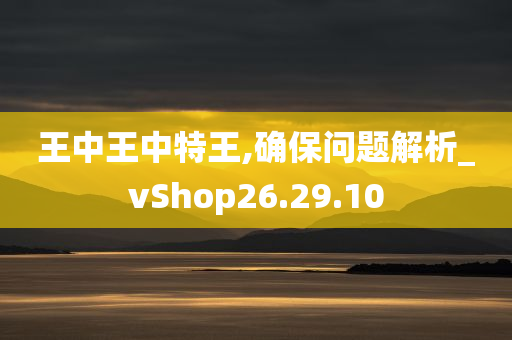 王中王中特王,确保问题解析_vShop26.29.10