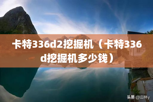 卡特336d2挖掘机（卡特336d挖掘机多少钱）