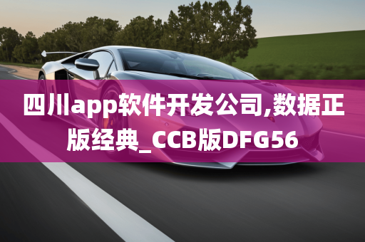 四川app软件开发公司,数据正版经典_CCB版DFG56