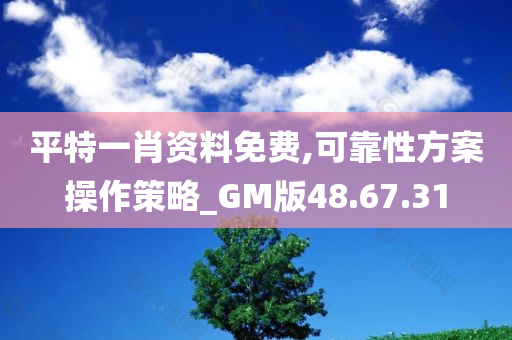 平特一肖资料免费,可靠性方案操作策略_GM版48.67.31