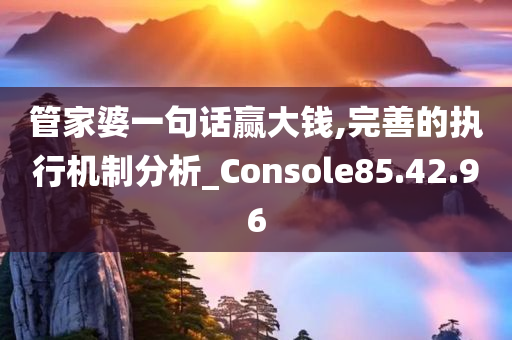 管家婆一句话赢大钱,完善的执行机制分析_Console85.42.96