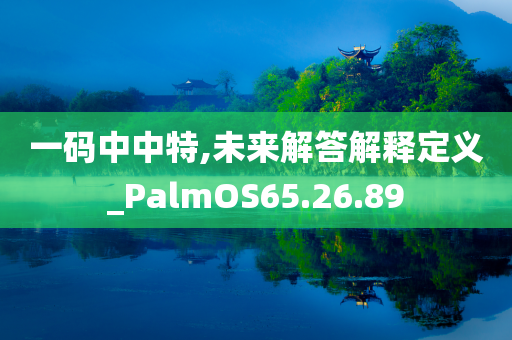 一码中中特,未来解答解释定义_PalmOS65.26.89