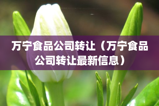 万宁食品公司转让（万宁食品公司转让最新信息）