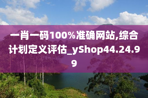 一肖一码100%准确网站,综合计划定义评估_yShop44.24.99