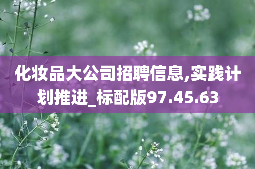 化妆品大公司招聘信息,实践计划推进_标配版97.45.63