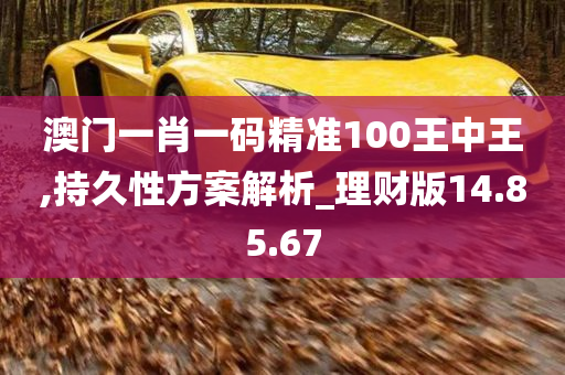 澳门一肖一码精准100王中王,持久性方案解析_理财版14.85.67