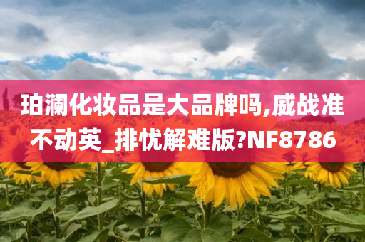 珀澜化妆品是大品牌吗,威战准不动英_排忧解难版?NF8786