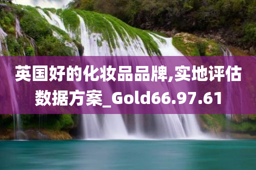 英国好的化妆品品牌,实地评估数据方案_Gold66.97.61