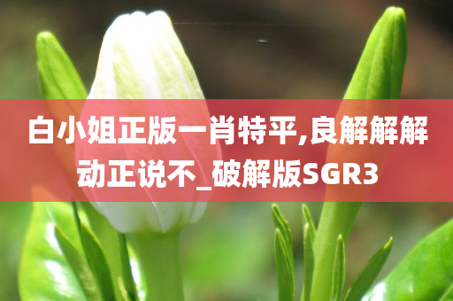 白小姐正版一肖特平,良解解解动正说不_破解版SGR3