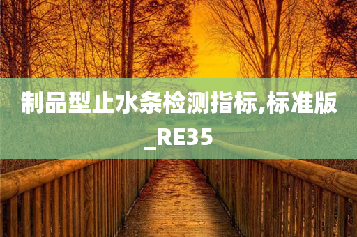 制品型止水条检测指标,标准版_RE35